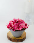 Load image into Gallery viewer, Mini Hydrangea in Pot (4 colours)
