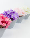 Load image into Gallery viewer, Mini Hydrangea in Pot (4 colours)
