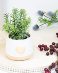 Load image into Gallery viewer, Heart Embossed Planter
