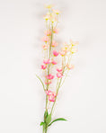 Load image into Gallery viewer, Pink Mini Meadow Bell Flower
