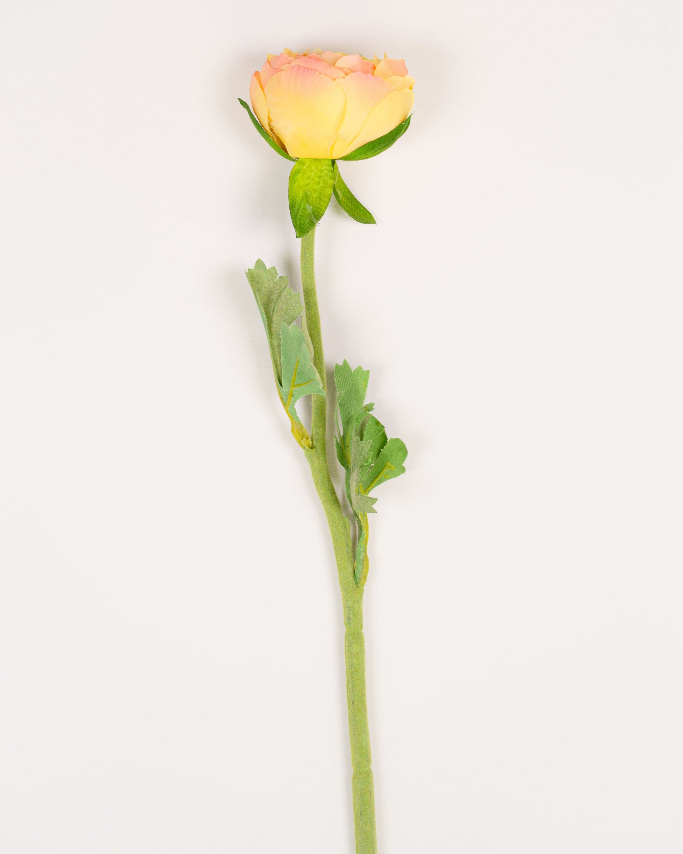 Ranunculus Stem (2 colours)