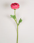 Load image into Gallery viewer, Ranunculus Stem (2 colours)
