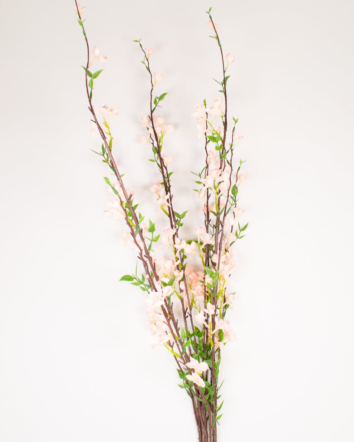 Light Pink Blossom Branch