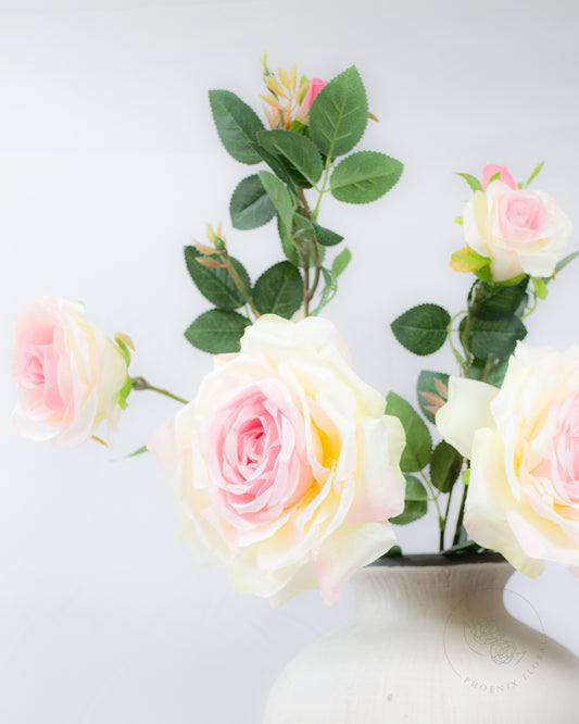 Pink & Cream Garden Rose Spray