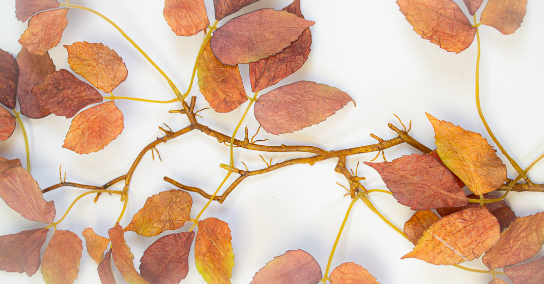 Autumn Leaf Flat-Lay Table Branch