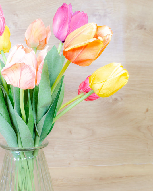 Rainbow of Tulips in Vase