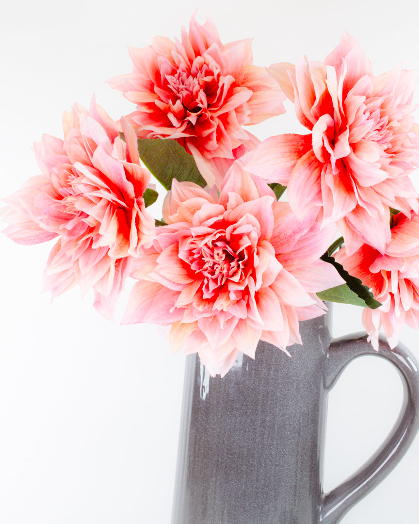 Coral Pink Dahlia Stem