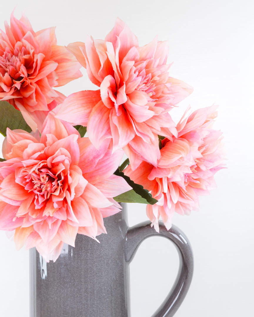 Coral Pink Dahlia Stem