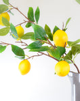 Load image into Gallery viewer, Large Lemon Branch
