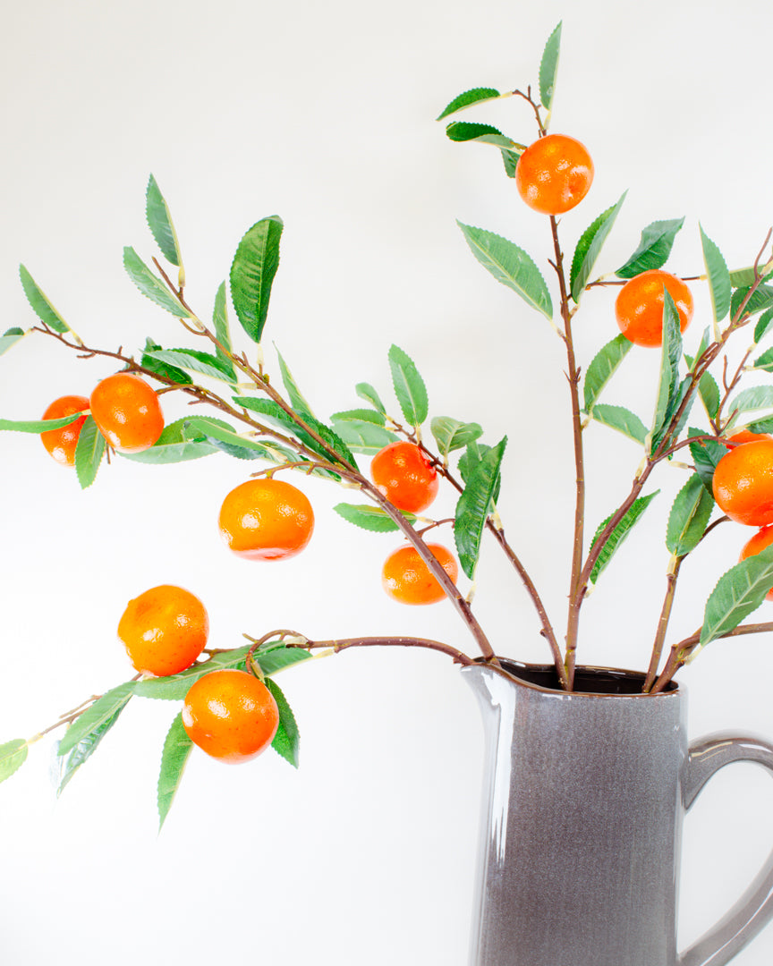 Large Clementine Branch