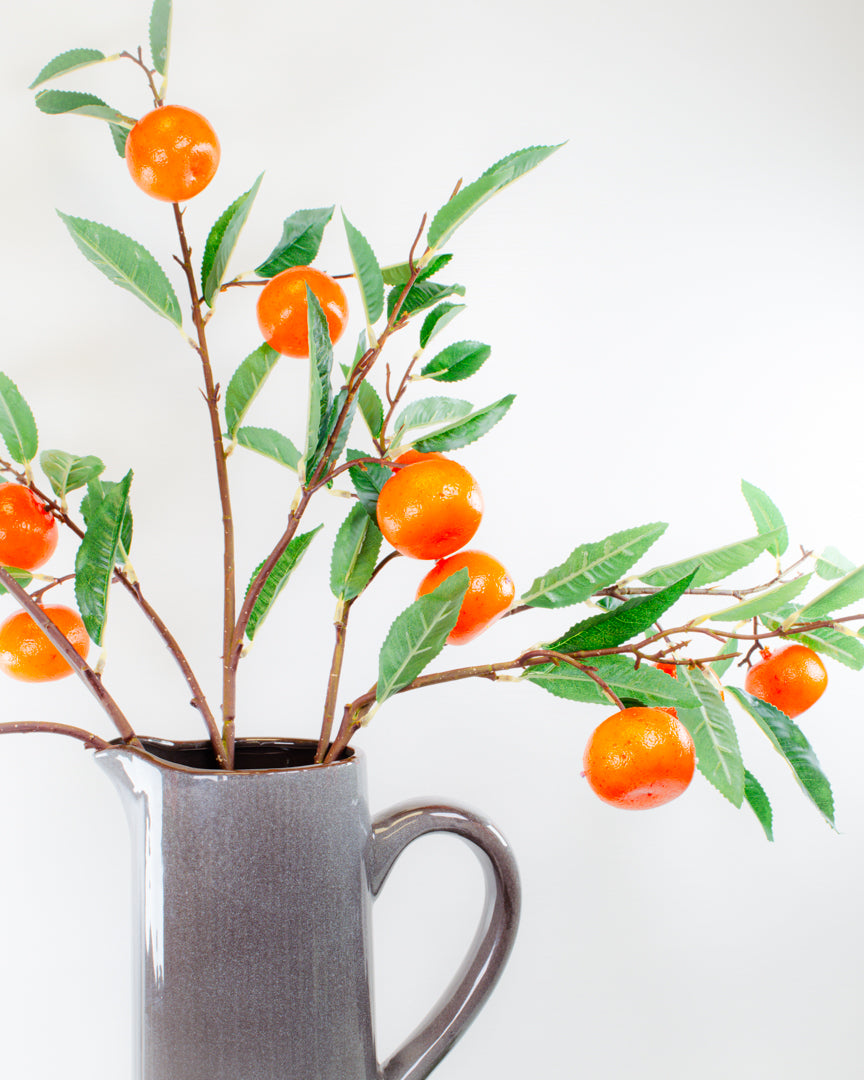 Large Clementine Branch