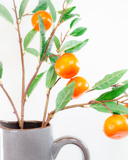 Large Clementine Branch