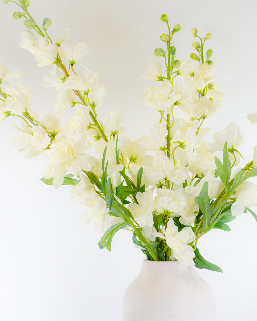 White Delphinium Stem