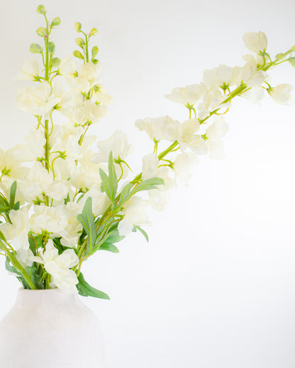 White Delphinium Stem