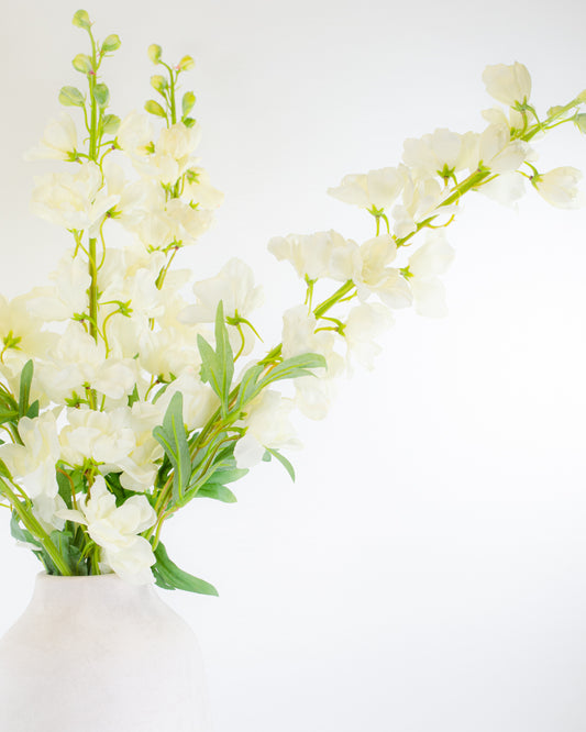 White Delphinium Stem