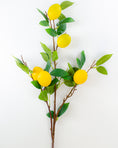 Load image into Gallery viewer, Large Lemon Branch
