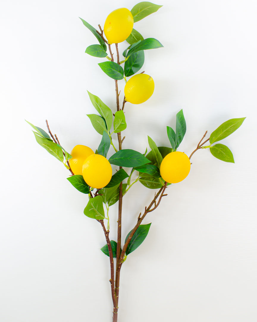 Large Lemon Branch