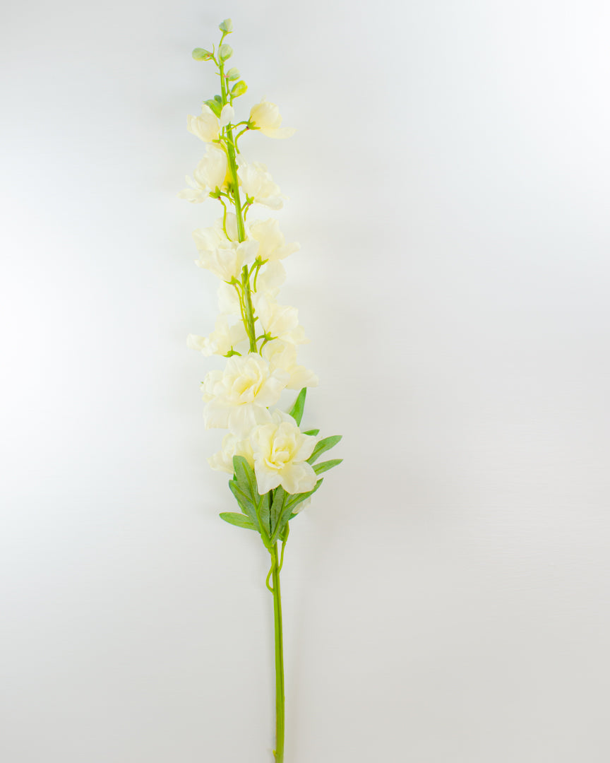 White Delphinium Stem