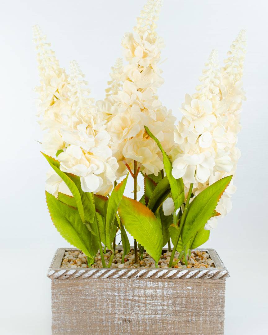 Delphiniums in Wooden Trug (2 colours)