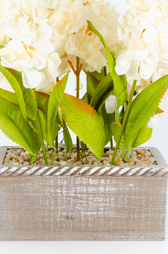 Delphiniums in Wooden Trug (2 colours)