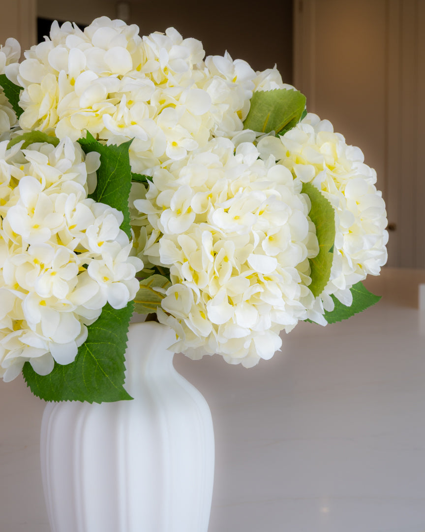 Off- White Winter Hydrangea