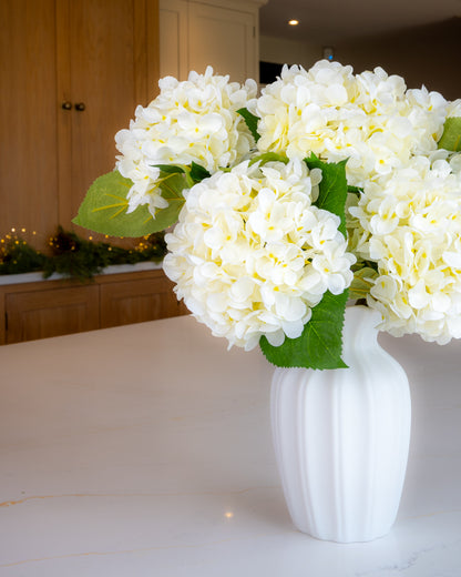 Off- White Winter Hydrangea