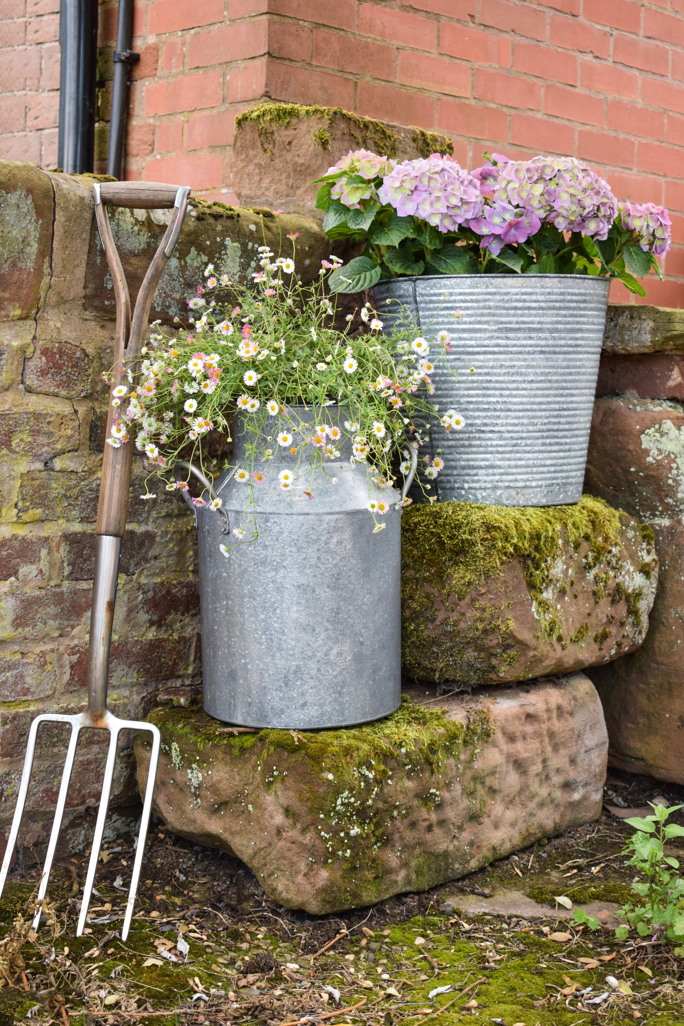 Outdoor Galvanised Milk Churn