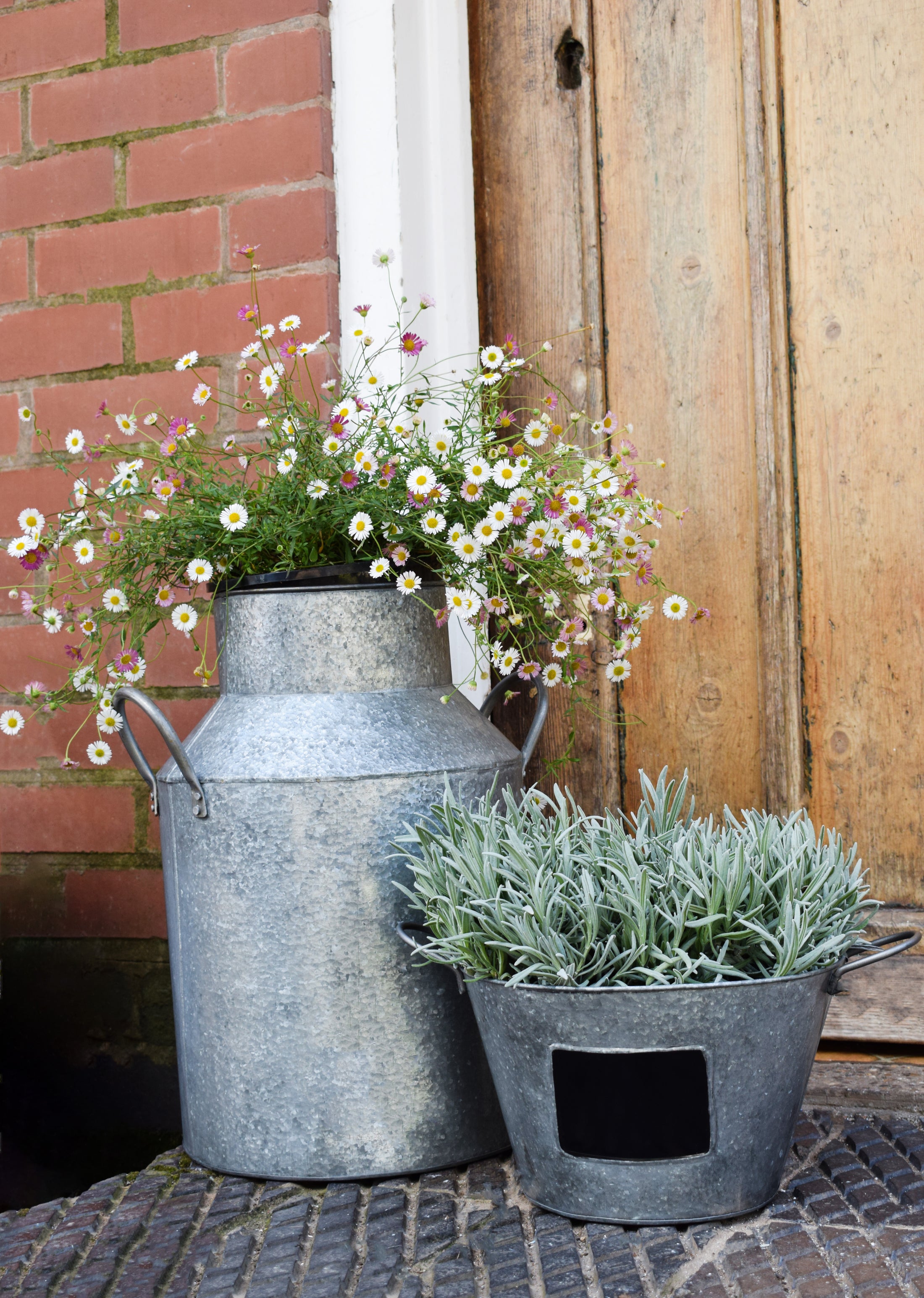 Outdoor Galvanised Milk Churn