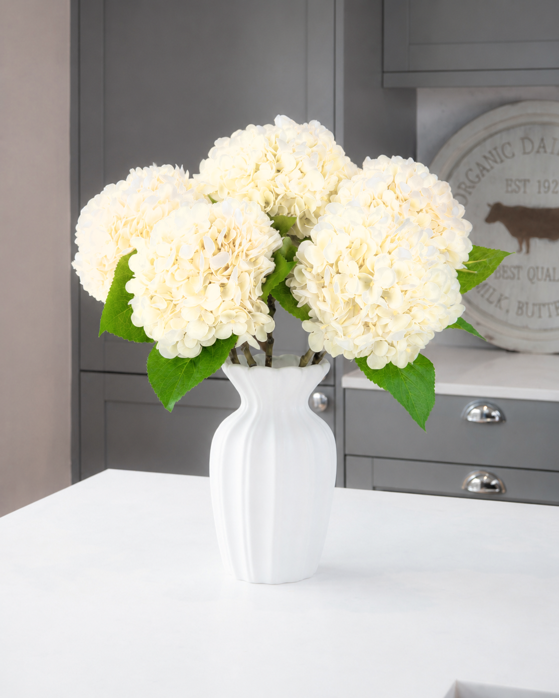 Hydrangea - Cream