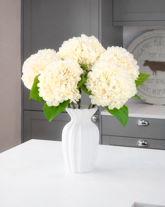 Hydrangea - Cream
