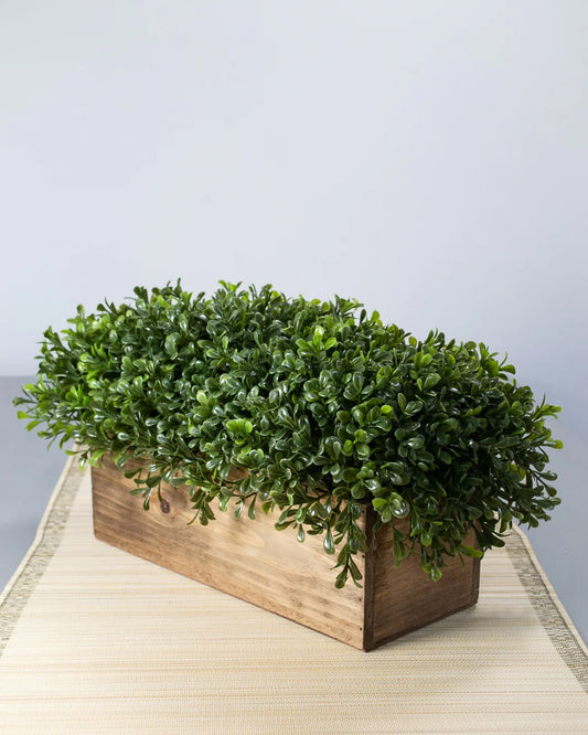 Windowsill Box Topiary