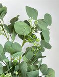 Load image into Gallery viewer, Dollar Eucalyptus Bunch
