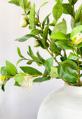 Load image into Gallery viewer, Cream Gardenia Spray
