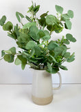 Load image into Gallery viewer, Dollar Eucalyptus Bunch
