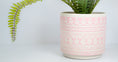 Load image into Gallery viewer, Patterned Planter - Pink
