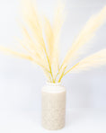 Load image into Gallery viewer, Pampas Grass Spray
