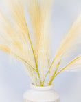 Load image into Gallery viewer, Pampas Grass Spray
