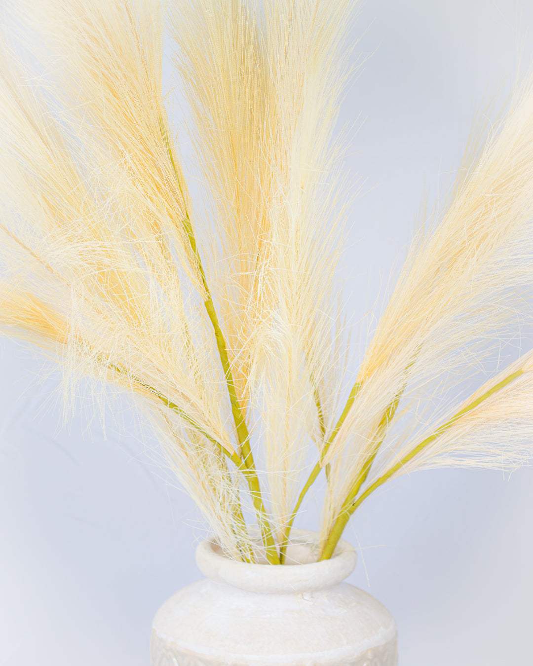 Pampas Grass Spray