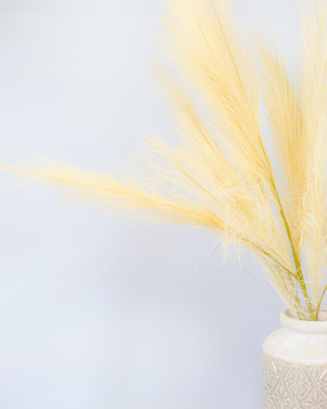 Pampas Grass Spray