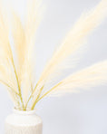 Load image into Gallery viewer, Pampas Grass Spray
