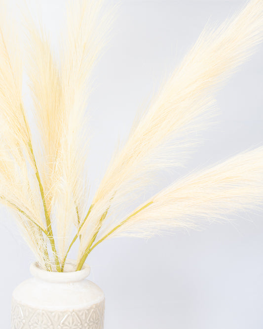 Pampas Grass Spray