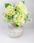 Load image into Gallery viewer, Large Light Green Hydrangea Stem
