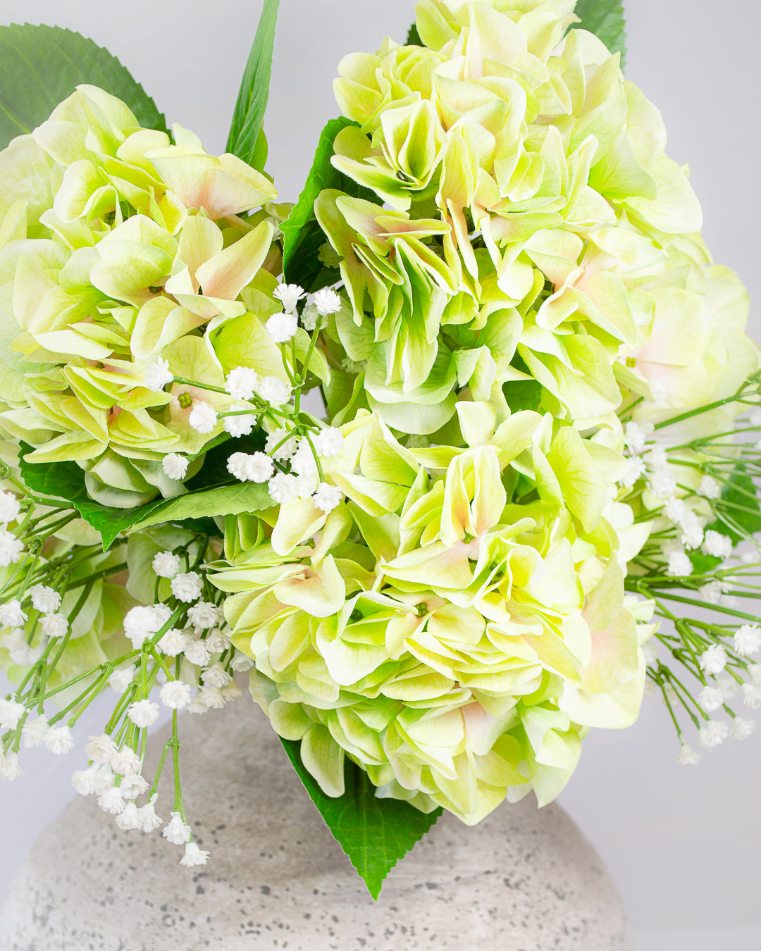 Large Light Green Hydrangea Stem