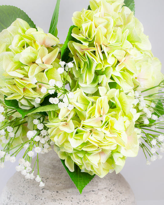 Large Light Green Hydrangea Stem