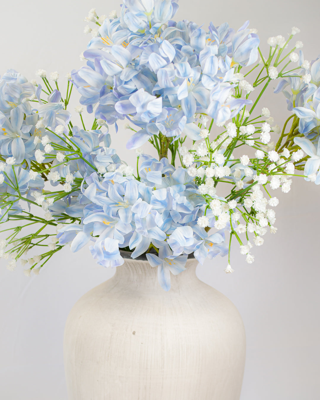 Blue Agapanthus Stem