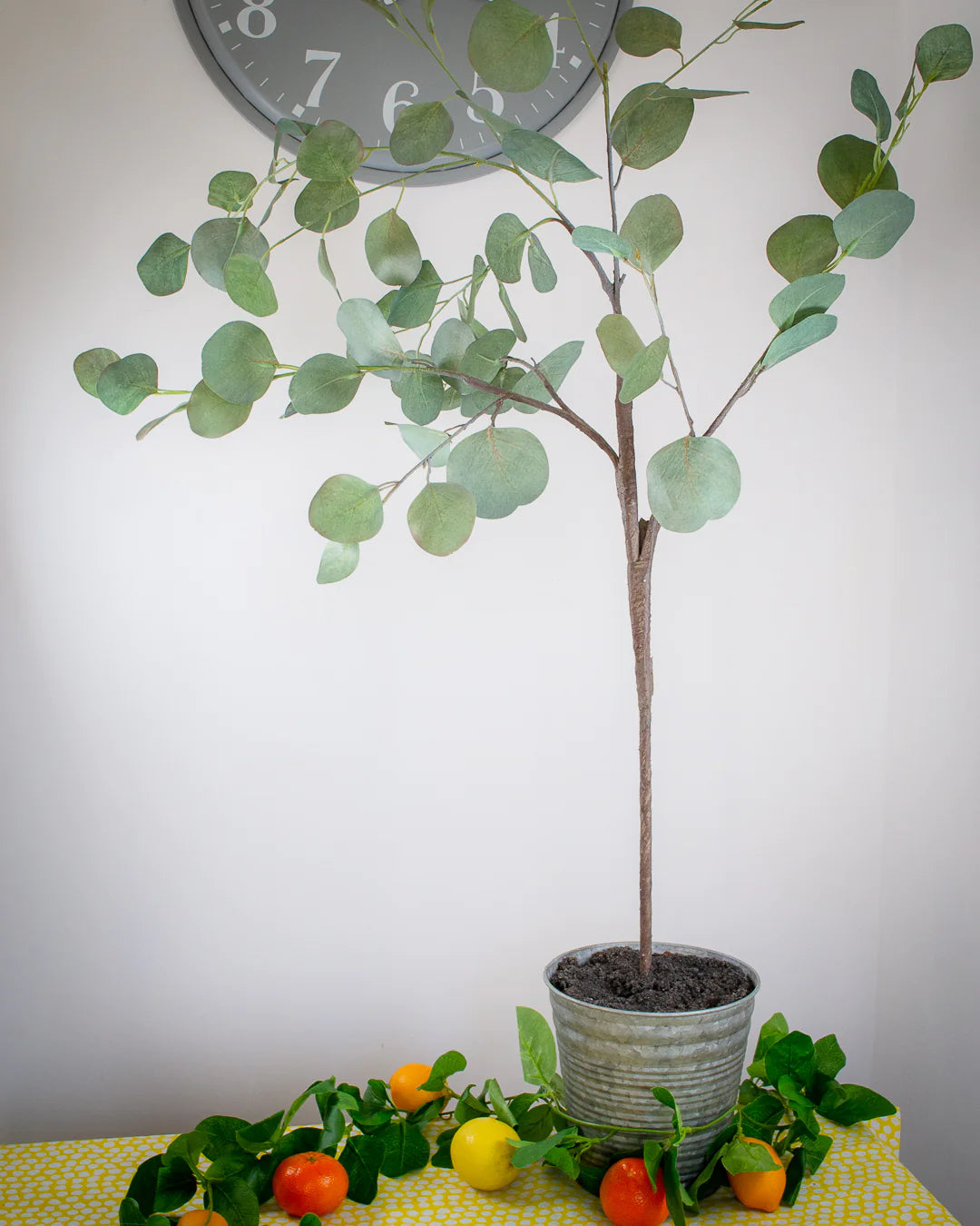 Small Eucalyptus Tree