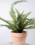 Load image into Gallery viewer, Potted Fern
