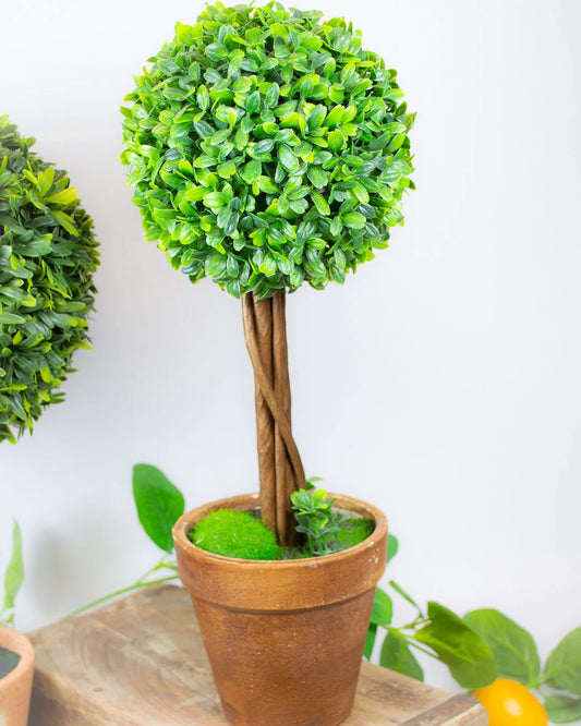 Topiary Tree in Pot - Small