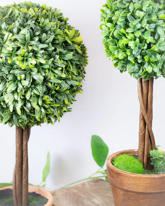 Topiary Tree in Pot - Small