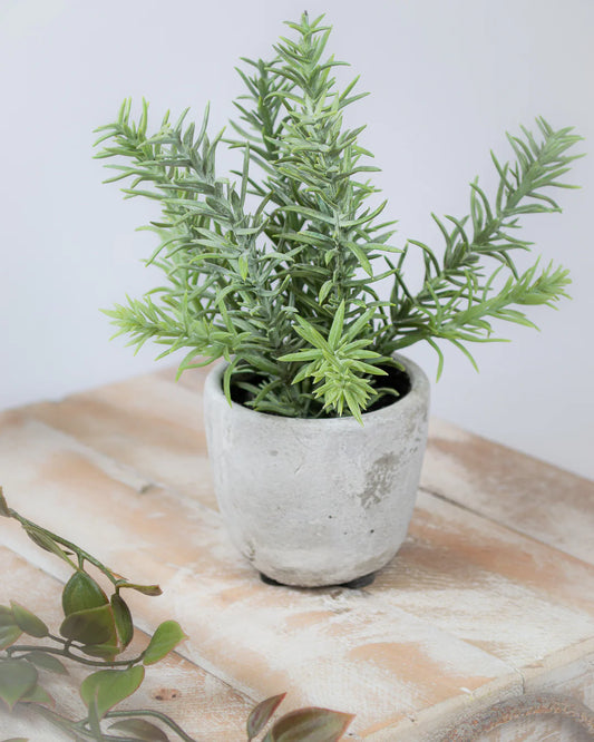 Potted Faux Rosemary Bush